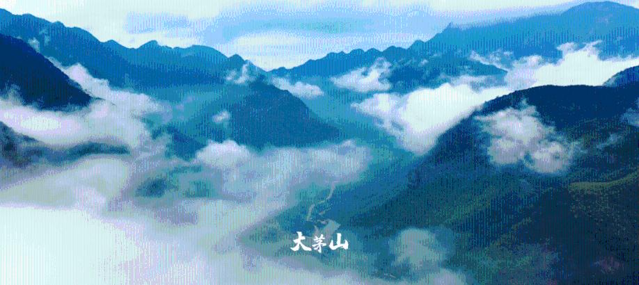 嘉日单词